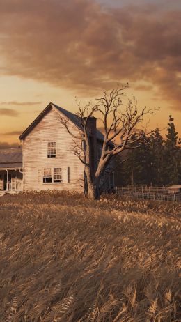 The Last of Us, farm, sunset, field Wallpaper 720x1280