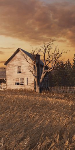 The Last of Us, farm, sunset, field Wallpaper 720x1440