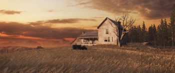 The Last of Us, farm, sunset, field Wallpaper 3440x1440