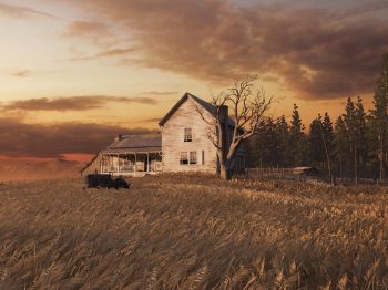 Обои 800x600 The Last of Us, ферма, закат, поле
