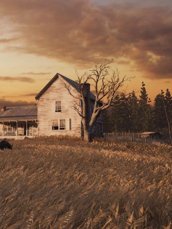 The Last of Us, farm, sunset, field Wallpaper 1536x2048