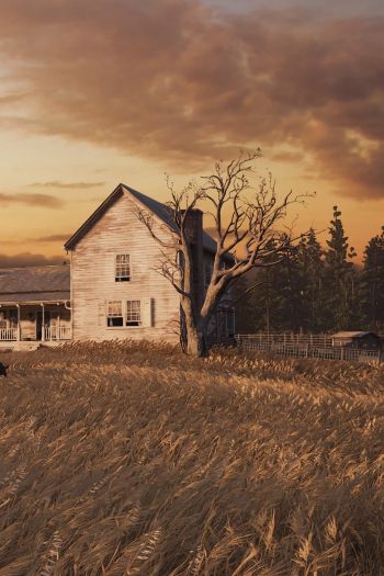 Обои 640x960 The Last of Us, ферма, закат, поле