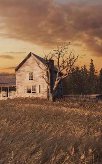 The Last of Us, farm, sunset, field Wallpaper 1200x1920