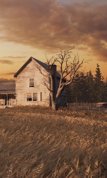 The Last of Us, farm, sunset, field Wallpaper 1200x2000