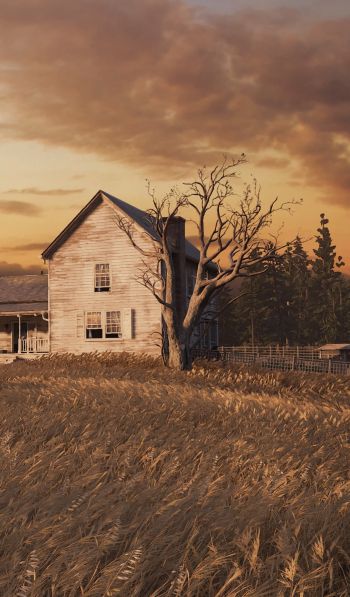 The Last of Us, farm, sunset, field Wallpaper 600x1024