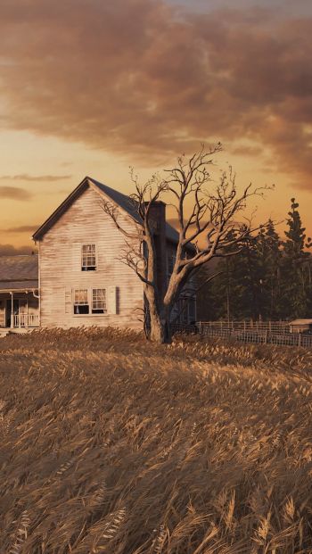Обои 640x1136 The Last of Us, ферма, закат, поле