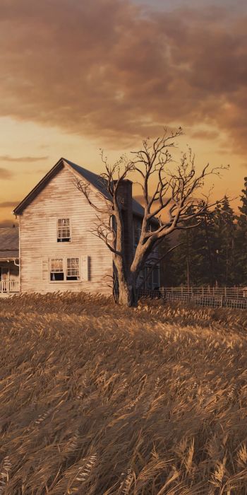The Last of Us, farm, sunset, field Wallpaper 720x1440