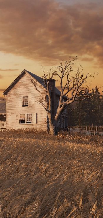 The Last of Us, farm, sunset, field Wallpaper 720x1520