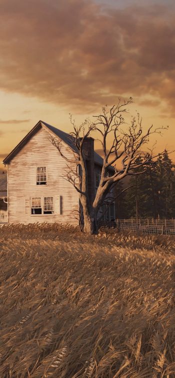 The Last of Us, farm, sunset, field Wallpaper 828x1792