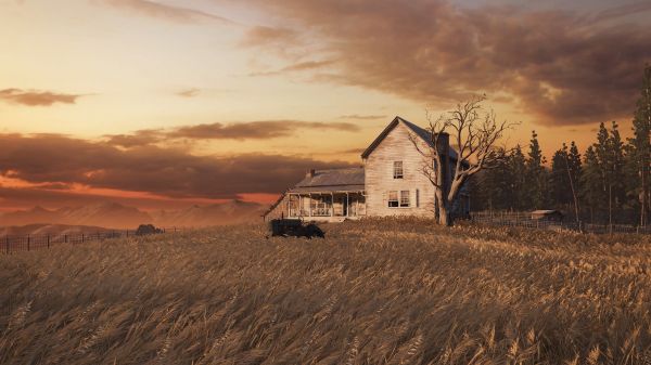 Обои 1366x768 The Last of Us, ферма, закат, поле