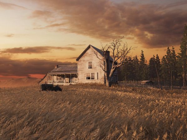 Обои 800x600 The Last of Us, ферма, закат, поле