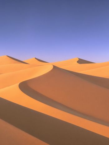 Windows XP wallpaper, desert, landscape Wallpaper 1620x2160