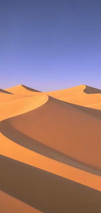 Windows XP wallpaper, desert, landscape Wallpaper 720x1520