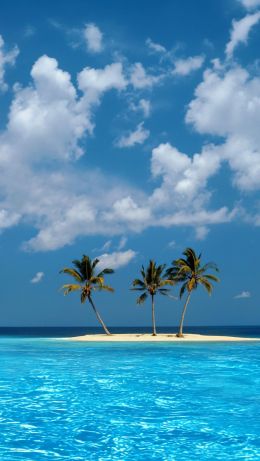 Windows XP wallpaper, island, sea Wallpaper 640x1136