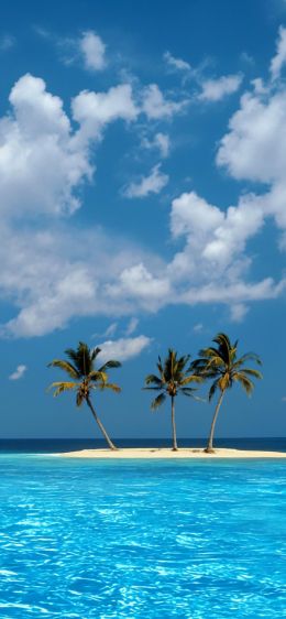 Windows XP wallpaper, island, sea Wallpaper 828x1792