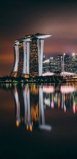 Marina Bay Sands, Singapore, night Wallpaper 1080x2220