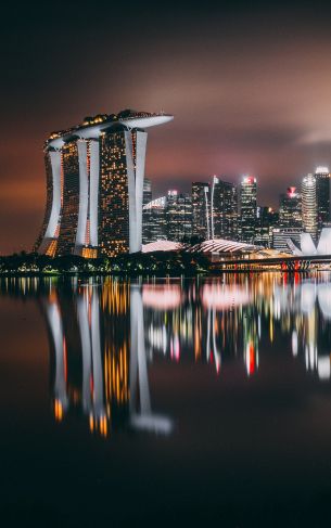 Marina Bay Sands, Singapore, night Wallpaper 1752x2800