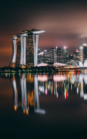 Marina Bay Sands, Singapore, night Wallpaper 1600x2560