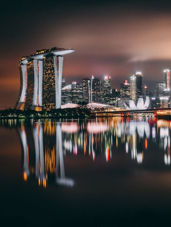 Marina Bay Sands, Singapore, night Wallpaper 2048x2732