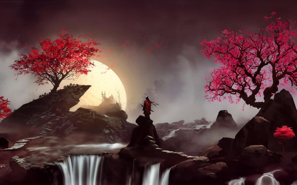 Japan, samurai, sakura Wallpaper 2560x1600
