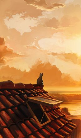 cat on the roof, sunset, orange Wallpaper 600x1024