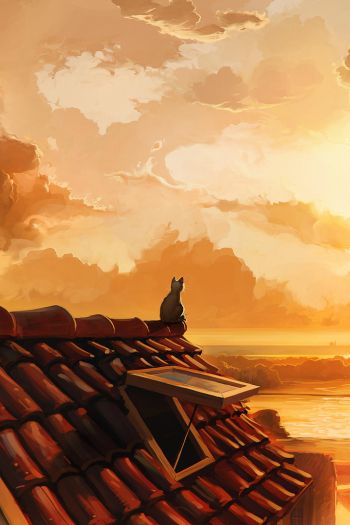 cat on the roof, sunset, orange Wallpaper 640x960