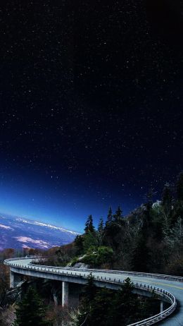 road, starry sky, night Wallpaper 750x1334