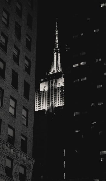 Empire State Building, New York, black and white Wallpaper 600x1024