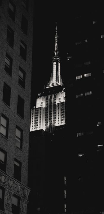 Обои 1080x2220 Эмпайр-стейт-билдинг, Нью-Йорк, черное и белое