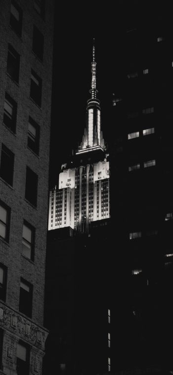 Empire State Building, New York, black and white Wallpaper 828x1792