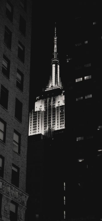 Empire State Building, New York, black and white Wallpaper 1080x2340