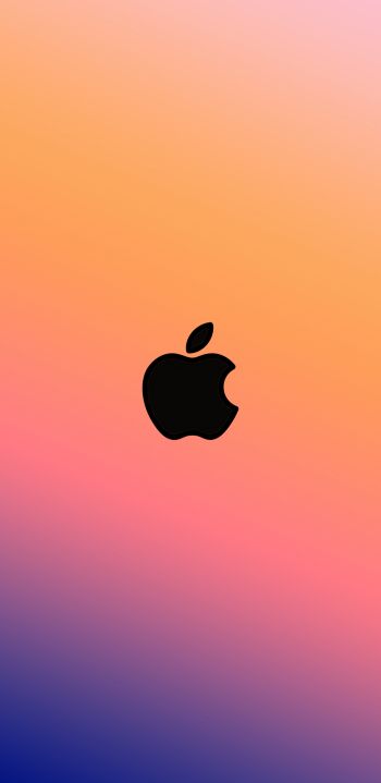Обои 1080x2220 логотип Apple, градиент