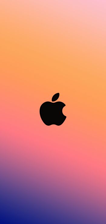 Обои 1080x2280 логотип Apple, градиент