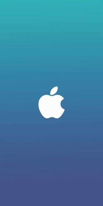 Обои 720x1440 логотип Apple, градиент, синий