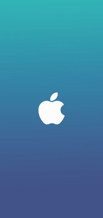 Обои 720x1520 логотип Apple, градиент, синий