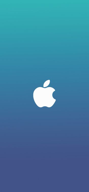 Обои 1080x2340 логотип Apple, градиент, синий