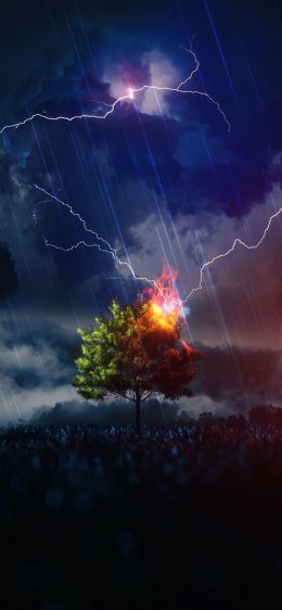 lightning, tree, night, thunderstorm Wallpaper 1464x3166