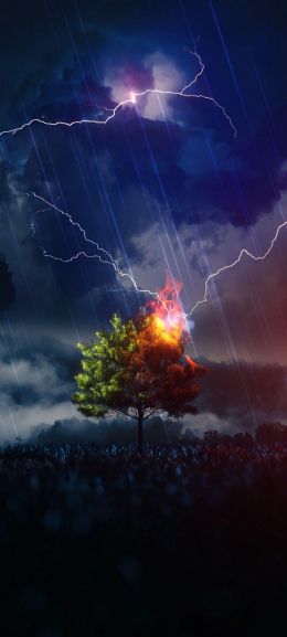 lightning, tree, night, thunderstorm Wallpaper 720x1600