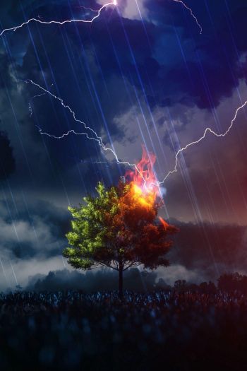 lightning, tree, night, thunderstorm Wallpaper 640x960