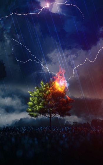 lightning, tree, night, thunderstorm Wallpaper 800x1280