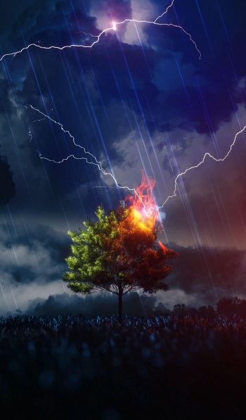 lightning, tree, night, thunderstorm Wallpaper 600x1024
