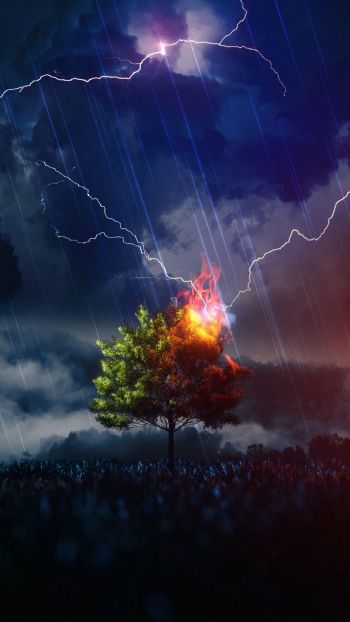 lightning, tree, night, thunderstorm Wallpaper 1440x2560