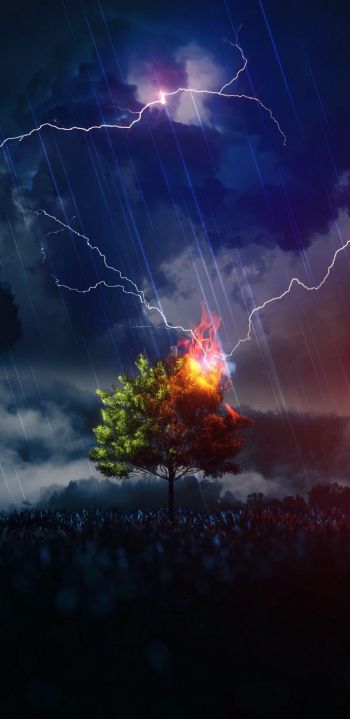 lightning, tree, night, thunderstorm Wallpaper 1080x2220