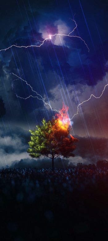 lightning, tree, night, thunderstorm Wallpaper 720x1600