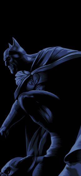Batman, on a black background, DC Wallpaper 1080x2340