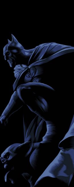 Batman, on a black background, DC Wallpaper 1284x3241