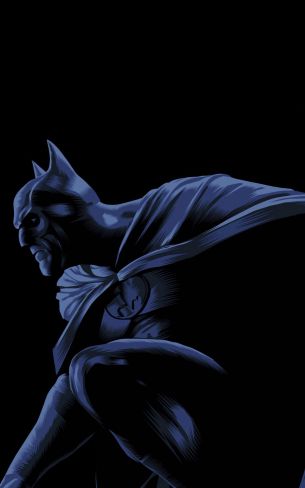 Batman, on a black background, DC Wallpaper 800x1280