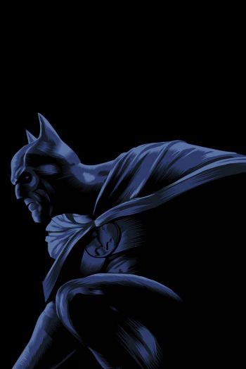 Batman, on a black background, DC Wallpaper 640x960