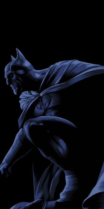 Batman, on a black background, DC Wallpaper 720x1440