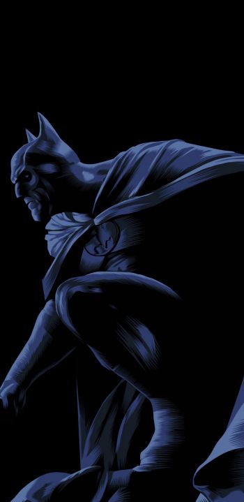 Batman, on a black background, DC Wallpaper 1080x2220